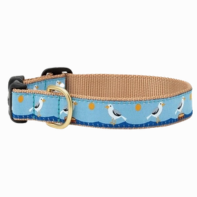 Teacup Collar | Gull Watch