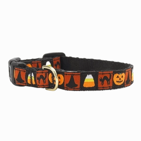 Teacup Collar | Halloween
