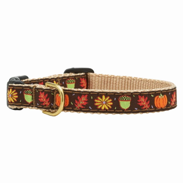 Teacup Collar | Harvest Time
