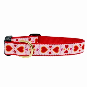 Teacup Collar | Heart to Heart