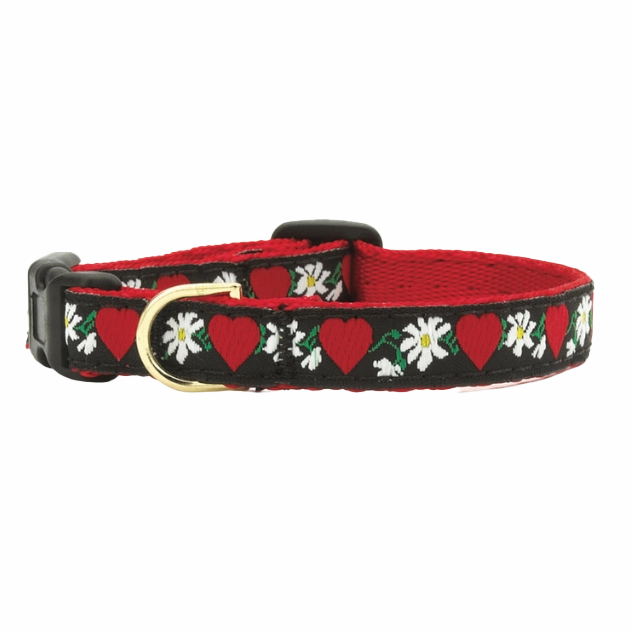 Teacup Collar | Hearts & Flowers
