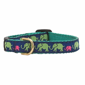 Teacup Collar | Leader Of The Pach