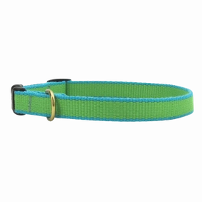 Teacup Collar | Lime & Aqua