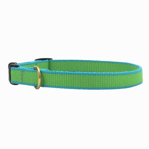 Teacup Collar | Lime & Aqua