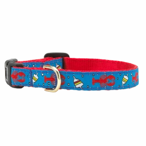 Teacup Collar | Lobster & Buoy