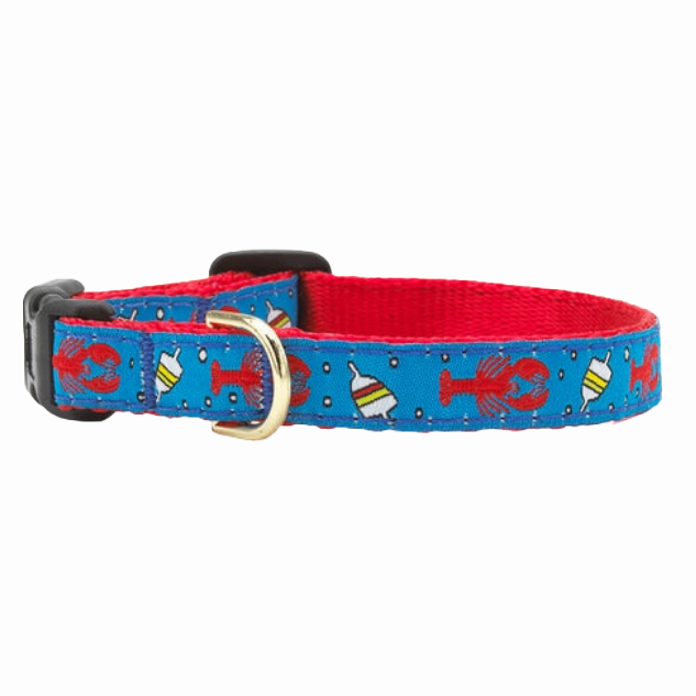 Teacup Collar | Lobster & Buoy