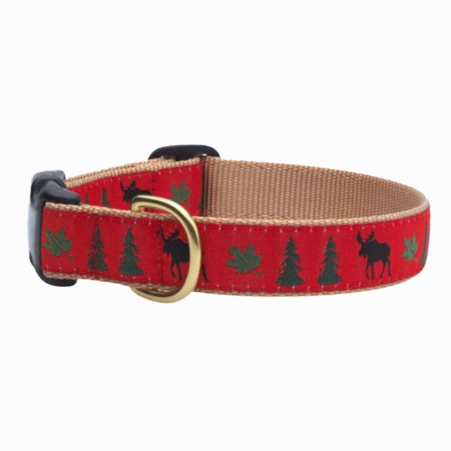 Teacup Collar | Moose