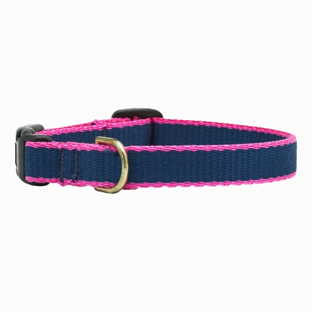 Teacup Collar | Navy & Pink