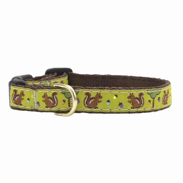 Teacup Collar | Nuts!
