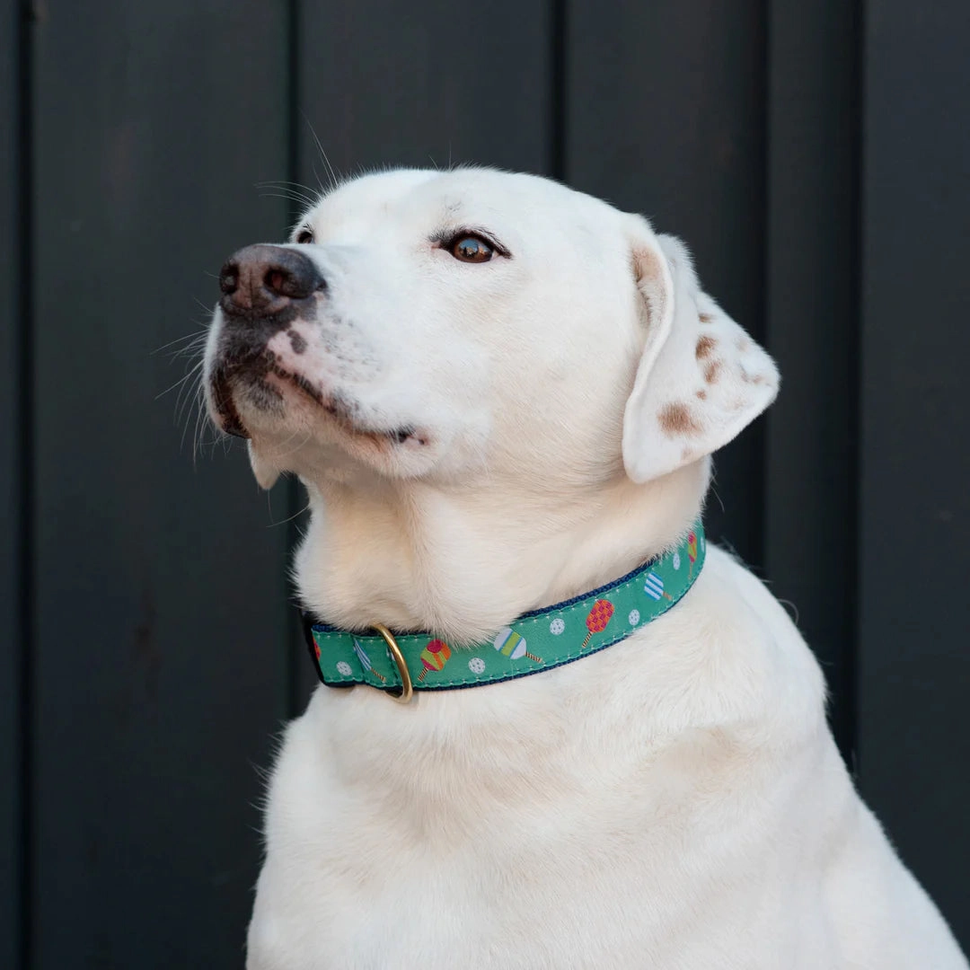 Teacup Collar | Pickleball