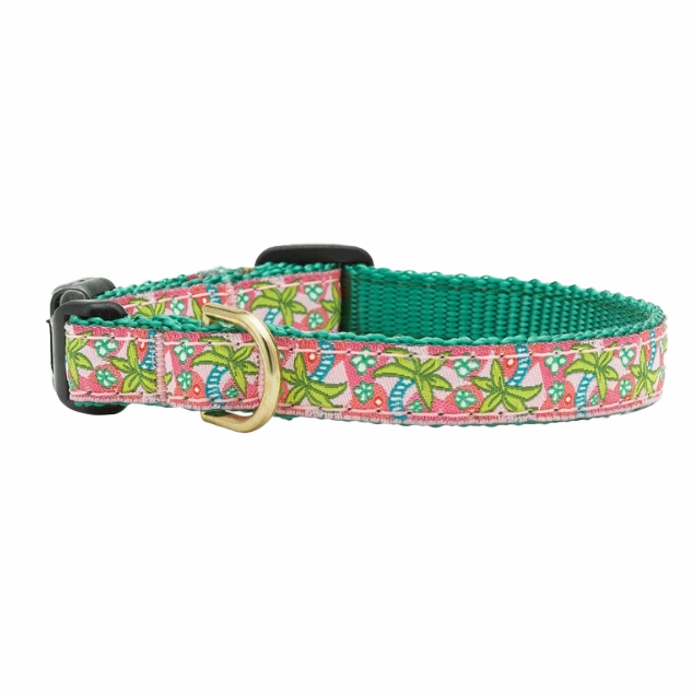 Teacup Collar | Pink Palms