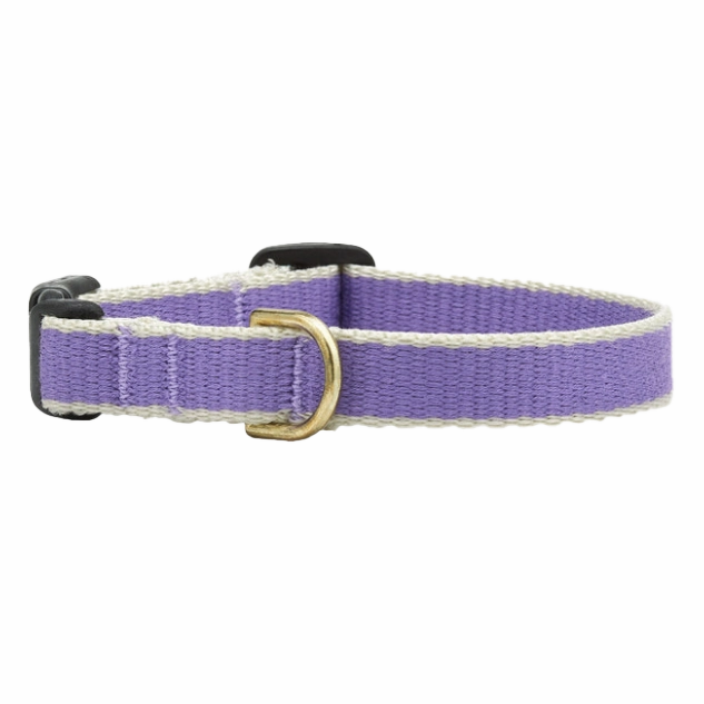 Teacup Collar | Purple & Gray