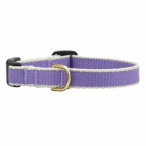 Teacup Collar | Purple & Gray