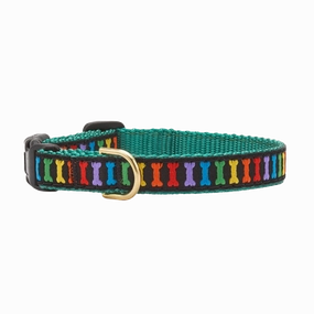 Teacup Collar | Rainbones