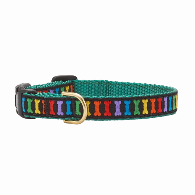 Teacup Collar | Rainbones