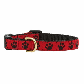 Teacup Collar | Red & Black Paw