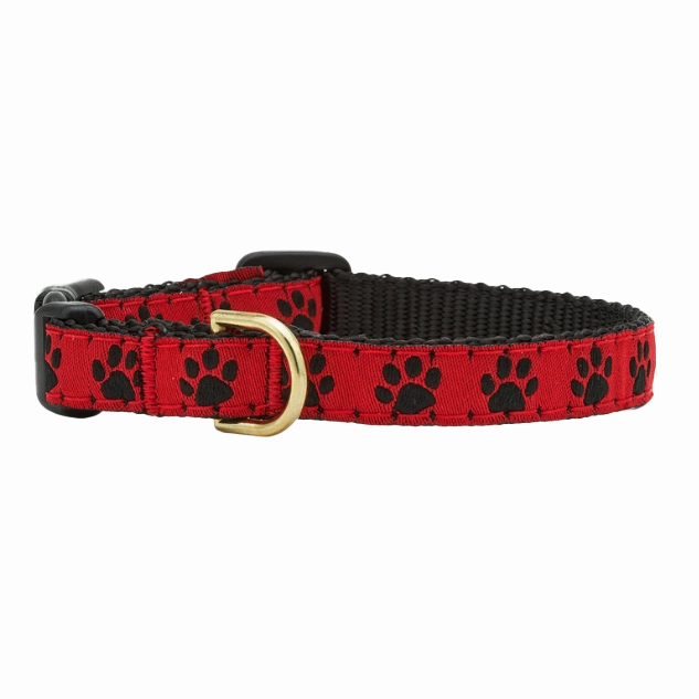 Teacup Collar | Red & Black Paw