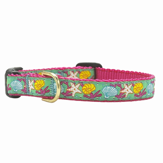 Teacup Collar | Reef