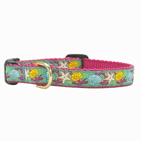Teacup Collar | Reef