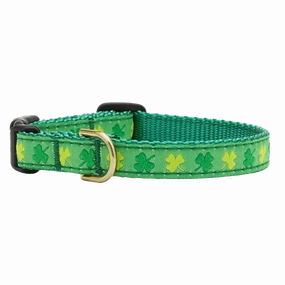 Teacup Collar | Shamrock