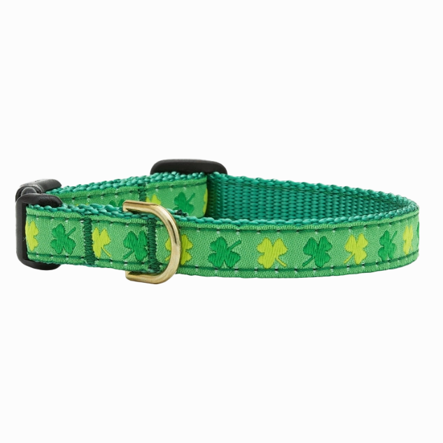 Teacup Collar | Shamrock