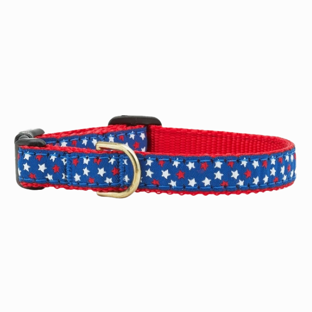 Teacup Collar | Stars