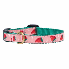 Teacup Collar | Strawberry Fields
