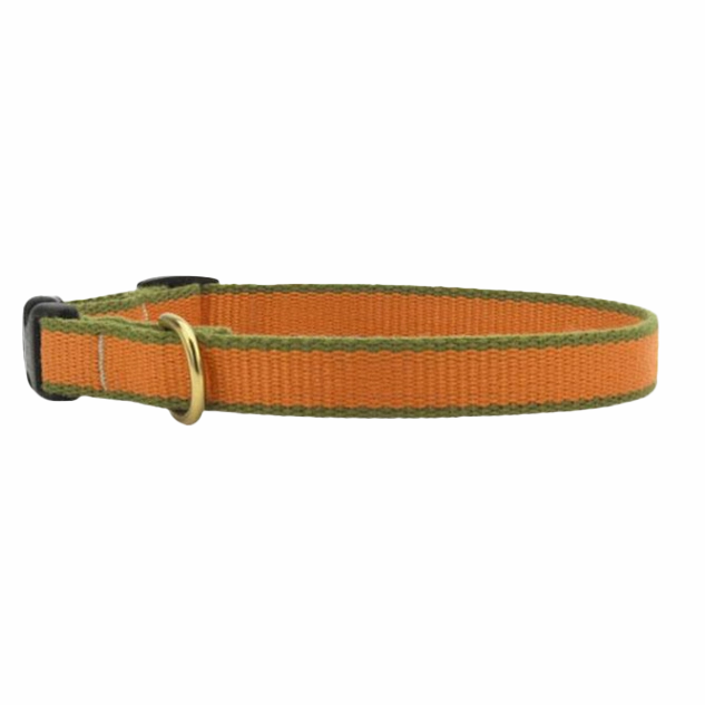 Teacup Collar | Tangerine & Pine