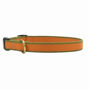 Teacup Collar | Tangerine & Pine