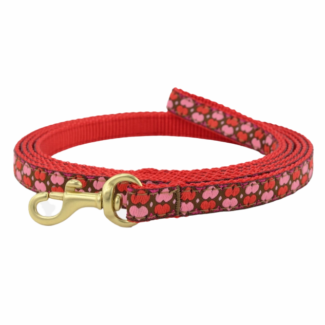 Teacup Leash | All Hearts