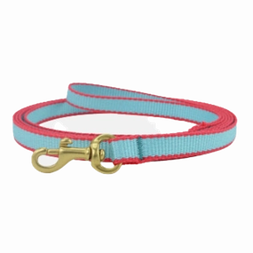 Teacup Leash | Aqua & Coral