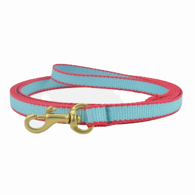 Teacup Leash | Aqua & Coral