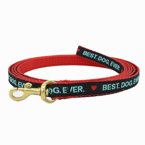Teacup Leash | Best. Dog. Ever.