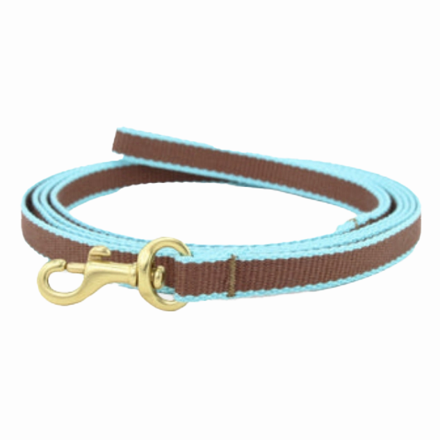Teacup Leash | Brown & Aqua