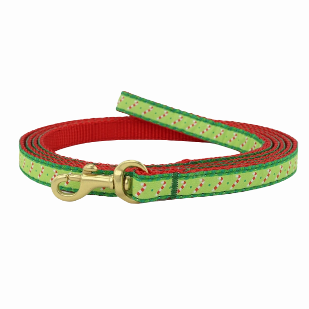 Teacup Leash | Candy Canes