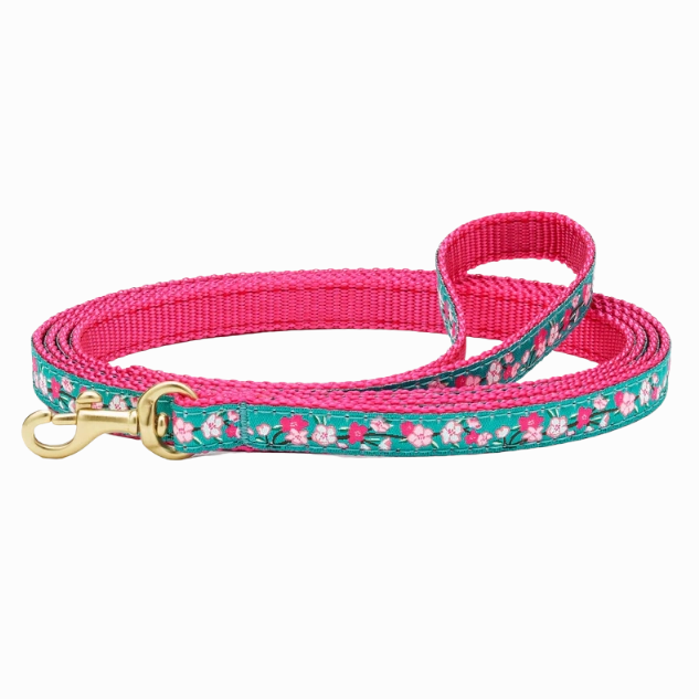 Teacup Leash | Cherry Blossom
