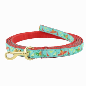 Teacup Leash | Cinco De Mayo