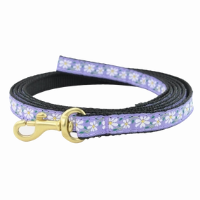 Teacup Leash | Daisy