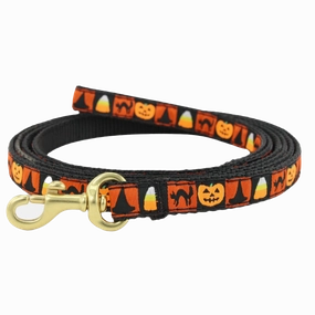 Teacup Leash | Halloween