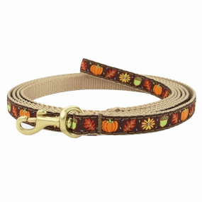 Teacup Leash | Harvest Time