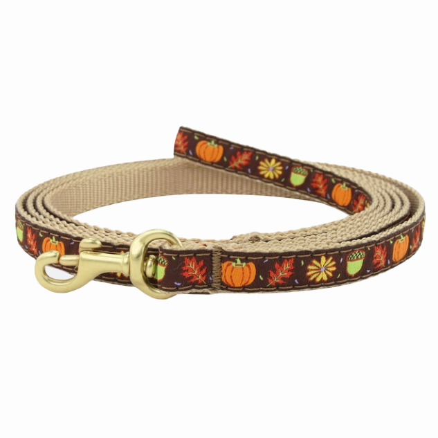 Teacup Leash | Harvest Time