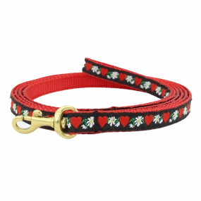 Teacup Leash | Hearts & Flowers