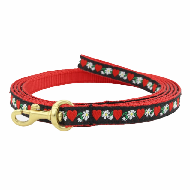 Teacup Leash | Hearts & Flowers