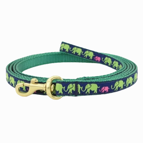 Teacup Leash | Leader Of The Pach