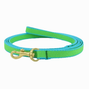 Teacup Leash | Lime & Aqua