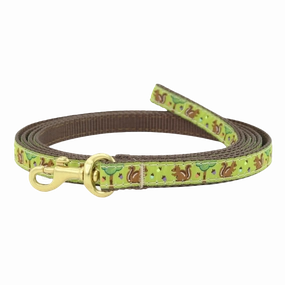 Teacup Leash | Nuts!