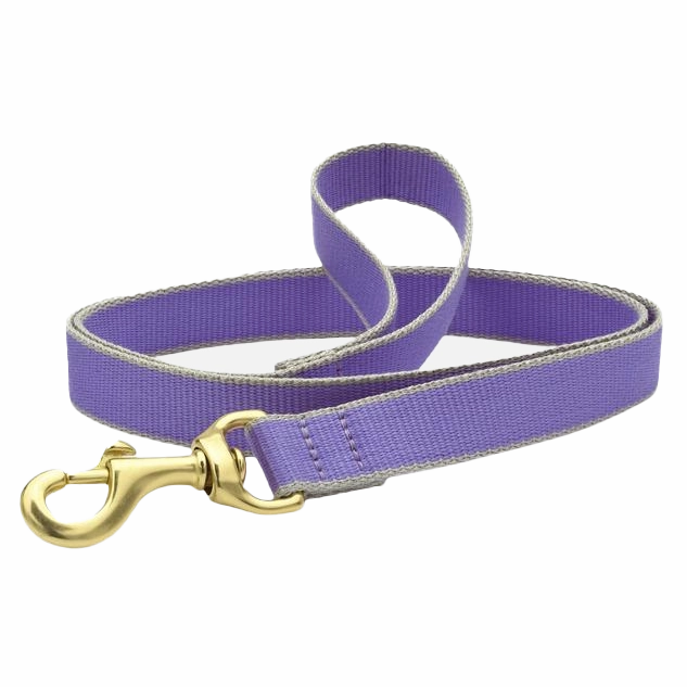 Teacup Leash | Purple & Gray