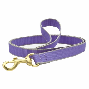 Teacup Leash | Purple & Gray