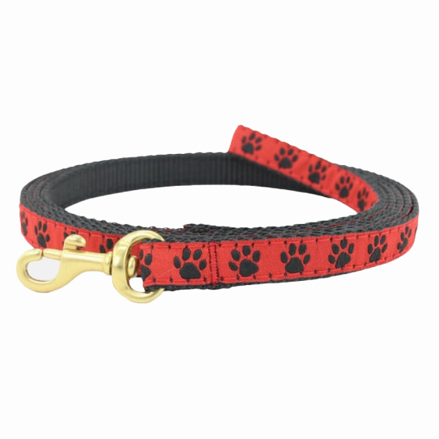 Teacup Leash | Red & Black Paw