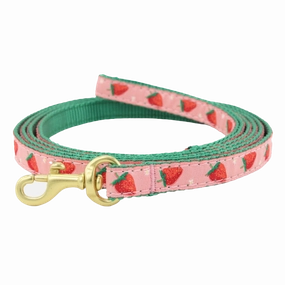 Teacup Leash | Strawberry Fields